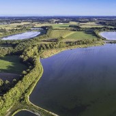 Les Volailles Miéral au cœur de la Dombes : un écrin naturellement préservé 🐓🌱
La Dombes, c’est un paysage féérique de mille étangs où l’eau et le ciel ne font plus qu’un à l’horizon. C’est aussi un paradis pour la biodiversité façonné par des traditions millénaires de gestion des zones humides 💦
Sur ces terres, nos volailles Label Rouge « Prince de Dombes® » prennent racine : élevées en plein air, dans des prairies herbeuses parsemées d’arbres et d’ombre, elles bénéficient d’une alimentation 100 % végéto-minérale, sans OGM ni antibiotiques, et d’un élevage à croissance lente 🌾
> Plus d'infos via le lien en bio ou sur mieral.com
#dombes #mieral #canette #poulet #producteur #alimentation #food #chef #cuisine #agriculture