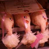 J-1 avant notre rendez-vous annuel des Glorieuses de Bresse à Montrevel-en-Bresse 🐓🇫🇷
Chaque décembre depuis 1862, les éleveurs de Bresse présentent leurs plus belles volailles fines, poulardes, chapons, dindes, poulets, pintades, dans quatre concours prestigieux à Bourg-en-Bresse, Louhans, Pont-de-Vaux et Montrevel-en-Bresse. C’est l’aboutissement d’une année de passion, de savoir-faire et d’attention aux détails ✨
À demain !