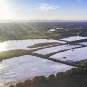 Les Volailles Miéral au cœur de la Dombes : un écrin naturellement préservé 🐓🌱
La Dombes, c’est un paysage féérique de mille étangs où l’eau et le ciel ne font plus qu’un à l’horizon. C’est aussi un paradis pour la biodiversité façonné par des traditions millénaires de gestion des zones humides 💦
Sur ces terres, nos volailles Label Rouge « Prince de Dombes® » prennent racine (Canette, pintade, poulet, chapon et dinde) : élevées en plein air, dans des prairies herbeuses parsemées d’arbres et d’ombre, elles bénéficient d’une alimentation 100 % végéto-minérale, sans OGM ni antibiotiques, et d’un élevage à croissance lente 🌾
> Plus d'infos via le lien en bio ou sur mieral.com
#mieral #canette #poulet #producteur #alimentation