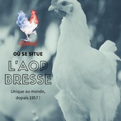 Où se situe l’AOP de Bresse ? 📍🇫🇷
En 1957, après de longues années de combat pour protéger un terroir unique, la Bresse obtient l’Appellation d’Origine Contrôlée.
Quelques années plus tard, elle est reconnue au niveau européen en AOP ✨

Une distinction rare. Exigeante. Précieuse.

D’une superficie de 3 536 km², la Bresse est une terre naturellement délimitée. Son secret ?
Un sol riche en argile, en minéraux et en oligo-éléments qui favorisent une herbe généreuse et une alimentation naturelle d’exception.

Pour la découvrir, direction l’est de la France, entre :
• l’Ain
• le Jura
• la Saône-et-Loire

Au cœur de plaines vallonnées et verdoyantes. C’est ici, et nulle part ailleurs, que naît la seule volaille au monde bénéficiant d’une AOP 🌿🌞

Une fierté.
Un patrimoine.
Un terroir vivant.

> https://www.mieral.com/

#mieral #aopbresse #volailledebresse #gastronomie #producteur #eleveur