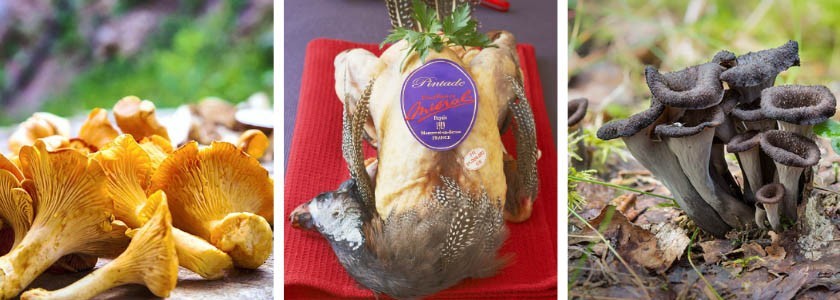 Pintade « Excellence » girolles & trompettes de la mort